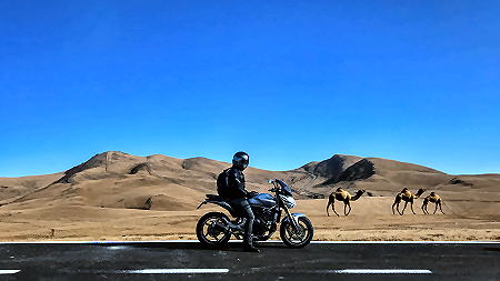 Motorcycle and rider in desert