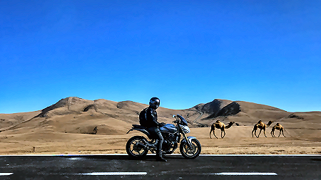 Raj Bike Ride Banner3 SM Motorcycle and rider in desert